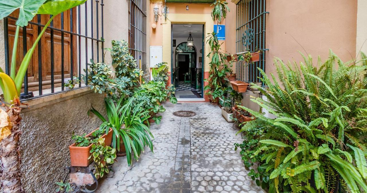Apartamentos Sta Maria La Blanca セビリア エクステリア 写真